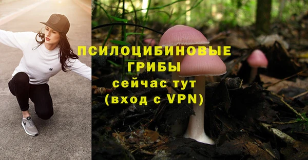 таблы Пролетарск