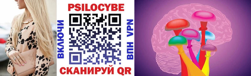 Купить где Знаменск Галлюциногенные грибы Cubensis